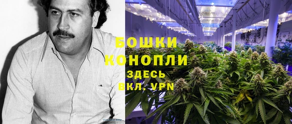мдпв Горно-Алтайск