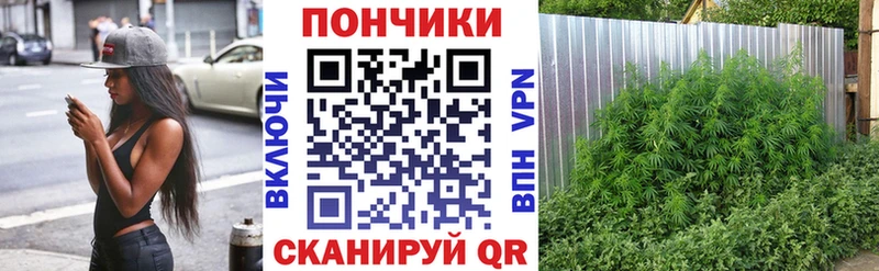 как найти наркотики  Омутнинск  MEGA зеркало  Бошки марихуана Ganja 